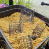 cage feeder browning xenos landi feeder mini micro light peche expert