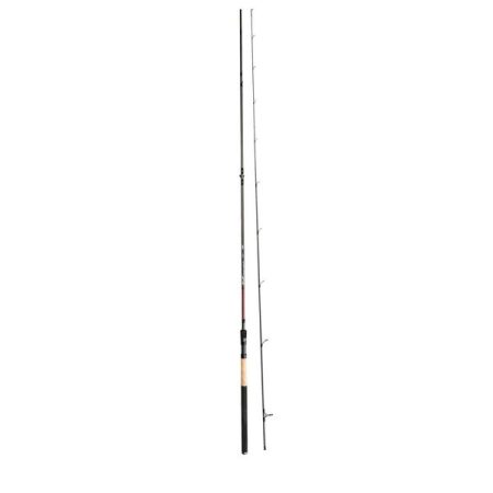 canne rive anglaise smart pellet waggler pêche expert carpe