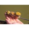 coupelle scion guru fast release pole pots pêche-expert