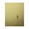 flotteur preston edge olive pole float pêche-expert