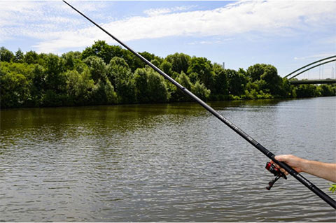canne bolognaise silverlite browning - pêche à la bolognaise Pêche expert