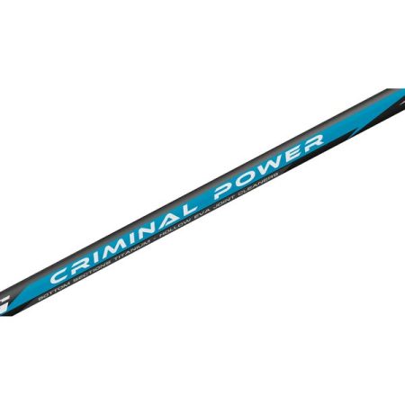 canne silure esturgeon colmic puissante criminal power