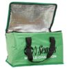 Sensas Sofia Sac Glacière 48759 sac isotherme de pêche 40 x 27 x 27 cm